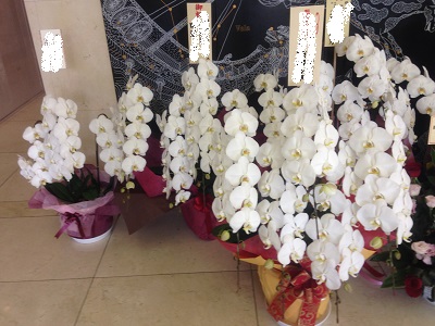 �Ӓ�����r